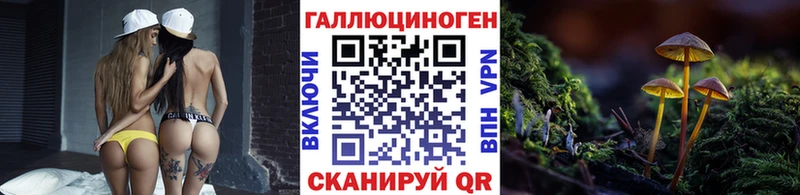 Псилоцибиновые грибы MAGIC MUSHROOMS  Купить где  Курильск 